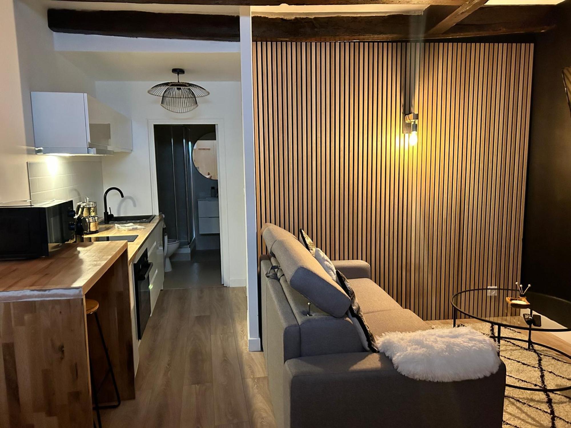 Le Petit Niortais - Centre Ville - Wifi - Netflix - Amazon Luaran gambar